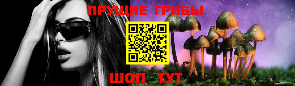 где найти   Галлюциногенные грибы мицелий  Псилоцибиновые грибы Psilocybe  Вход с VPN  Родники 